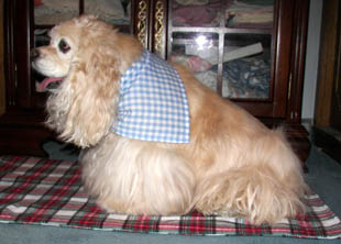 Large dog scarf